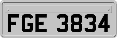 FGE3834