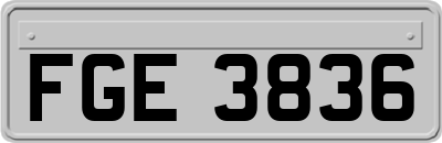 FGE3836