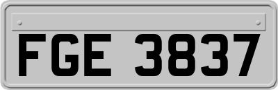 FGE3837