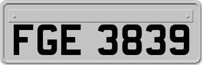 FGE3839