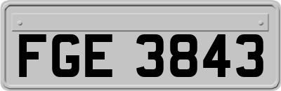 FGE3843