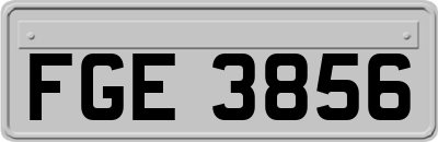 FGE3856