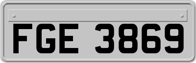 FGE3869