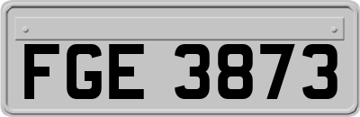 FGE3873