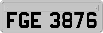 FGE3876
