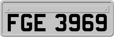 FGE3969
