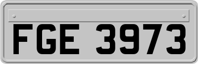 FGE3973