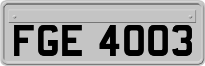 FGE4003