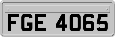 FGE4065