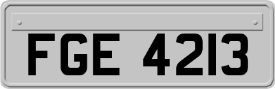 FGE4213