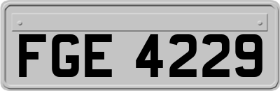 FGE4229