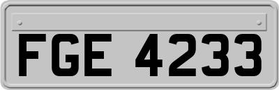 FGE4233