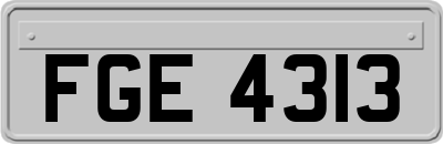 FGE4313