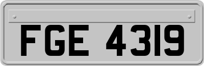 FGE4319