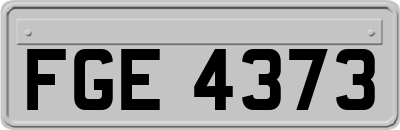 FGE4373