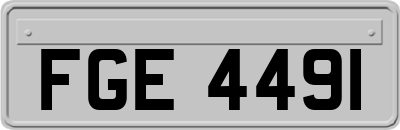 FGE4491