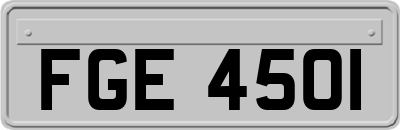 FGE4501