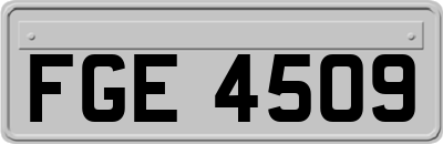 FGE4509
