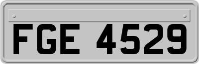 FGE4529