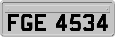 FGE4534