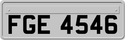 FGE4546