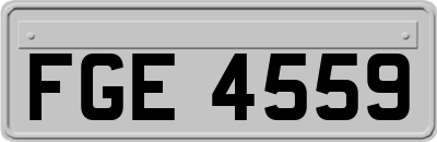 FGE4559