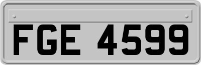FGE4599