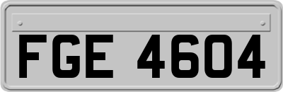 FGE4604