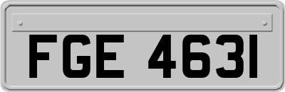 FGE4631