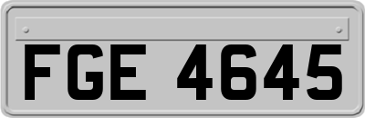 FGE4645