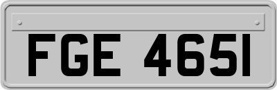 FGE4651
