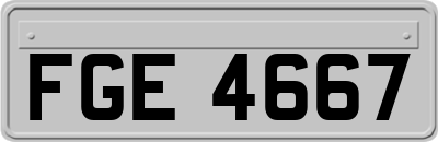 FGE4667