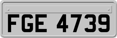 FGE4739