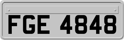 FGE4848