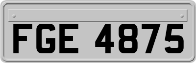 FGE4875