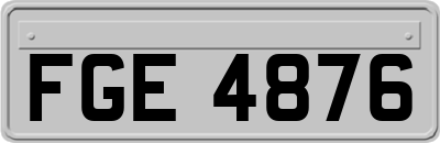 FGE4876