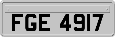 FGE4917