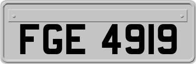 FGE4919