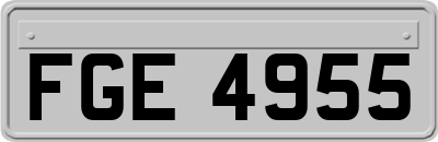FGE4955
