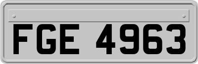 FGE4963