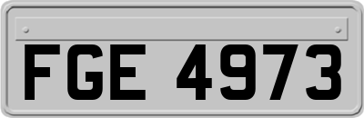 FGE4973