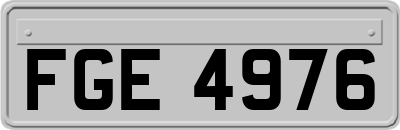 FGE4976