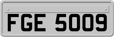 FGE5009