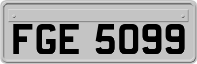 FGE5099