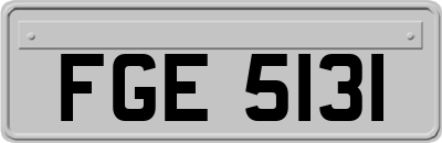 FGE5131