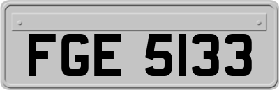 FGE5133