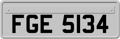 FGE5134