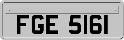 FGE5161