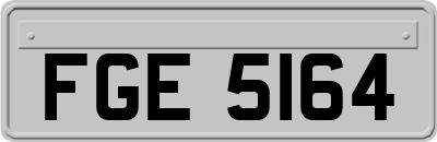 FGE5164