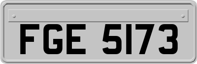 FGE5173